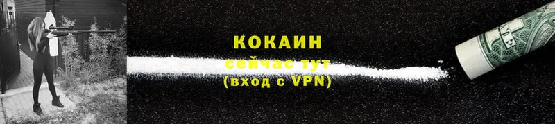 COCAIN Боливия  Каменногорск 