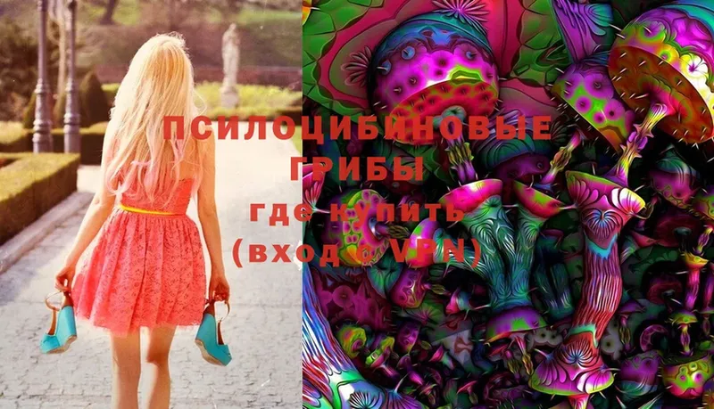 Галлюциногенные грибы Magic Shrooms  omg онион  Каменногорск 